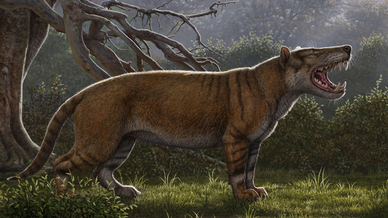 La especie era carnívora y tenía un tamaño superior al de un oso polar.