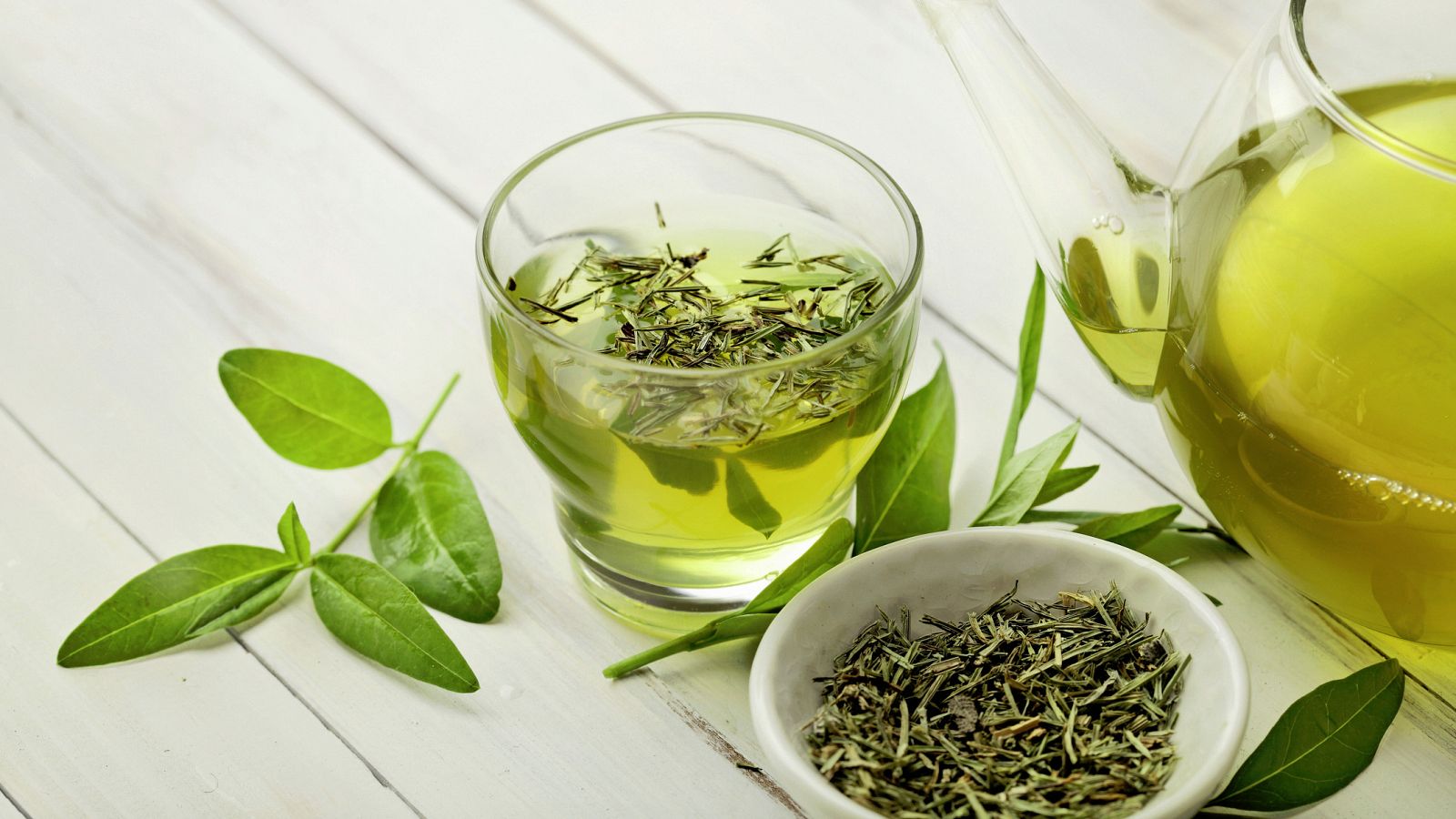 El té verde (Camellia sinensis) no es sometido a un proceso de oxidación o aireación durante su procesado, por lo que sus componentes bioactivos no se ven alterados.