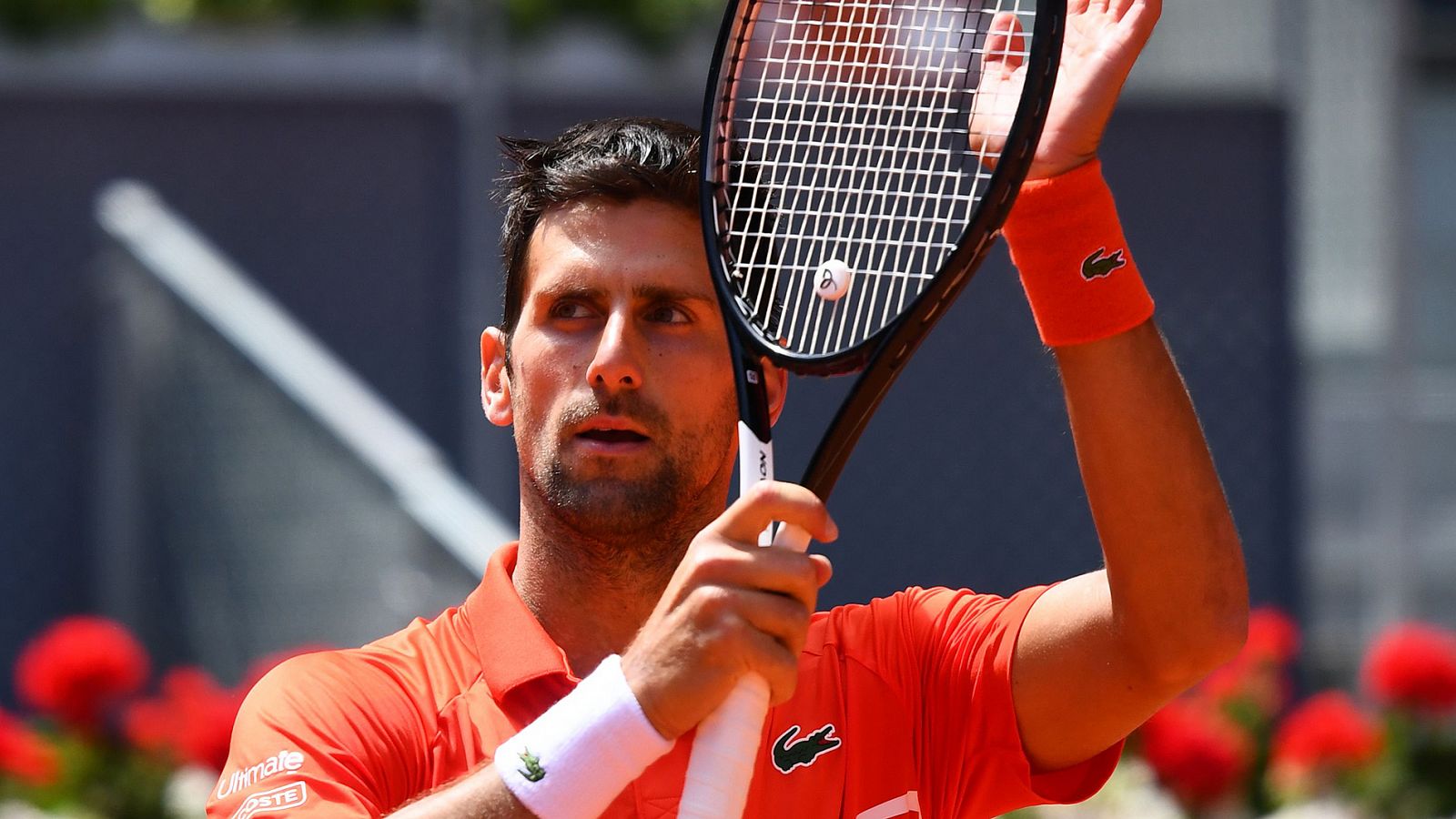 Novak Djokovic jugará las semifinales del Madrid Open tras la baja de Cilic.