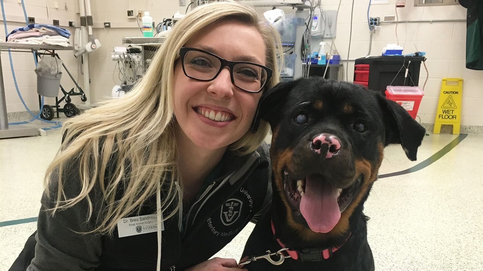 La veterinaria Brea Sandness, junto a la rottweiler Stella.