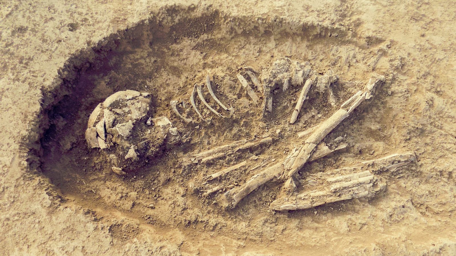 Normalmente, cuando se recuperan fósiles humanos aislados en los yacimientos es muy difícil asignarles el sexo.