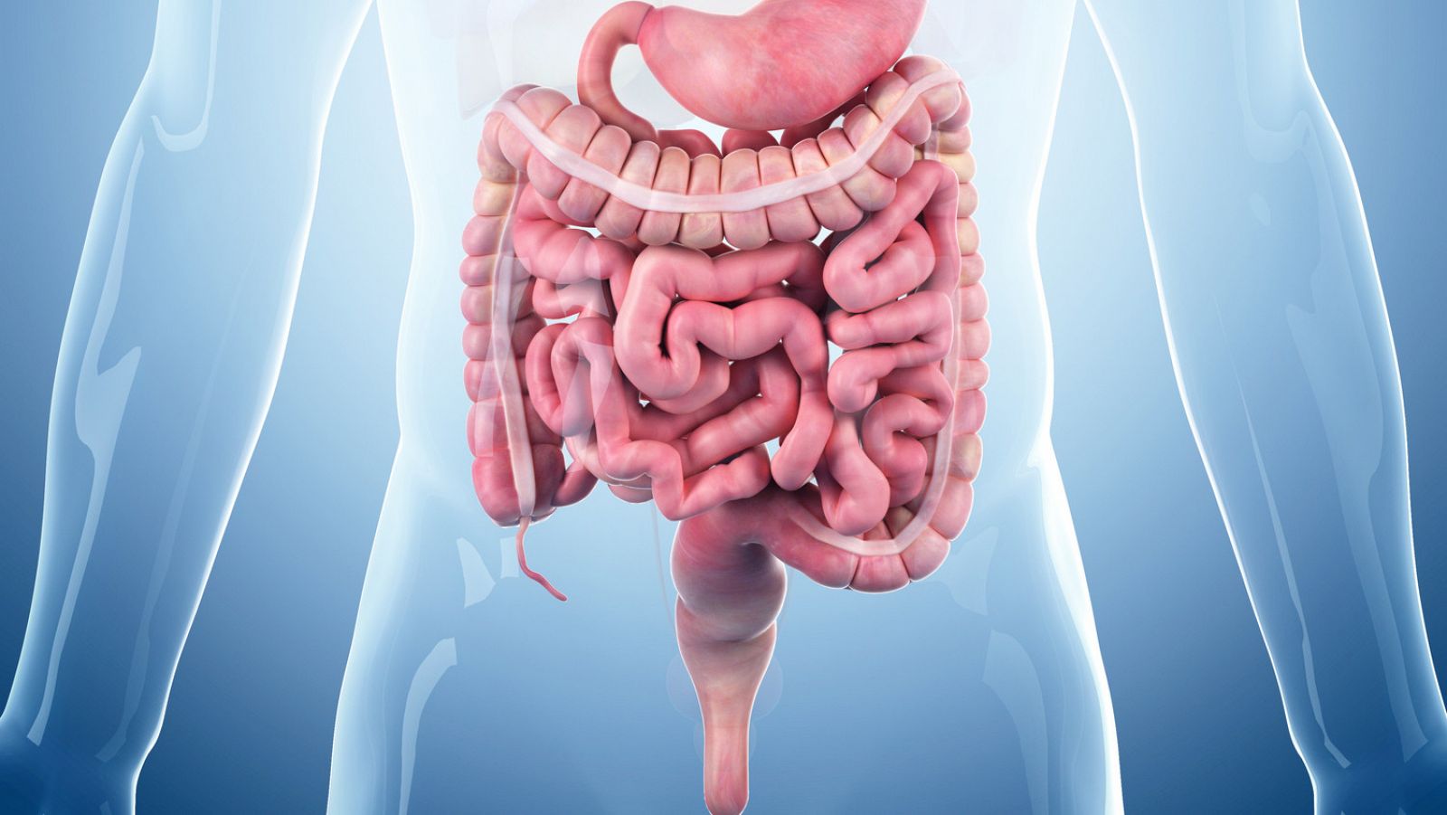 Según este trabajo científico, el párkinson avanzaría por los nervios que conectan el intestino con el cerebro.