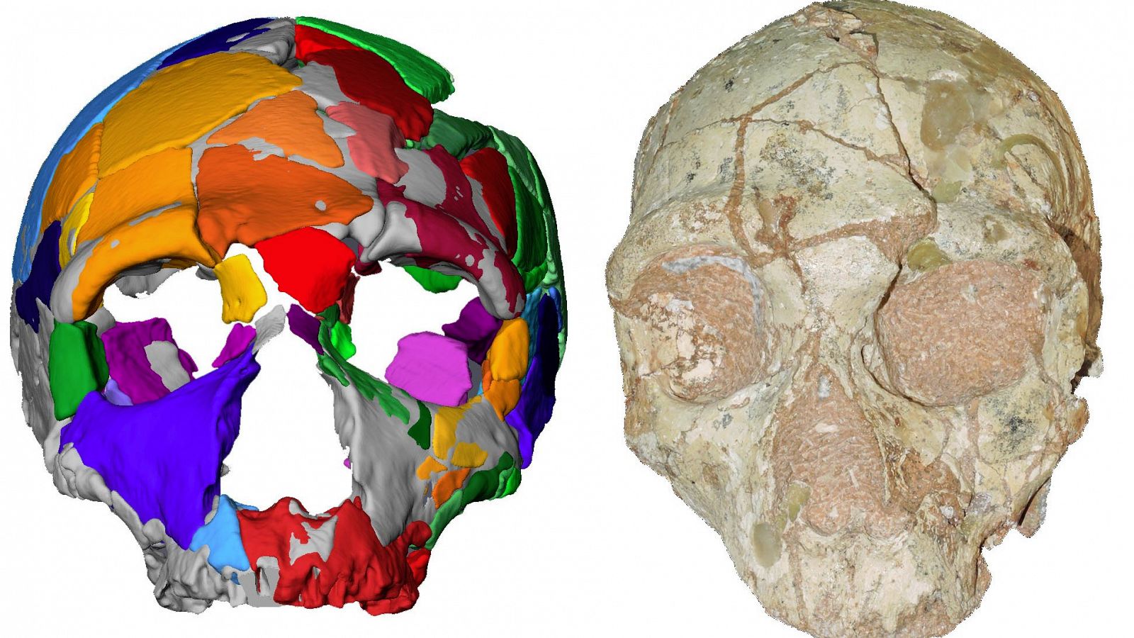Un segundo cráneo, encontrado también en Grecia, dataría de hace 170.000 años y cuenta con rasgos de neanderthal.