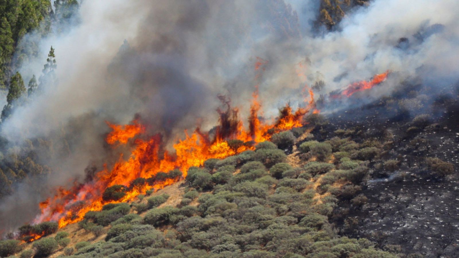 Vista del incendio declarado en la zona de Artenara en el oeste de la isla de Gran Canaria.
