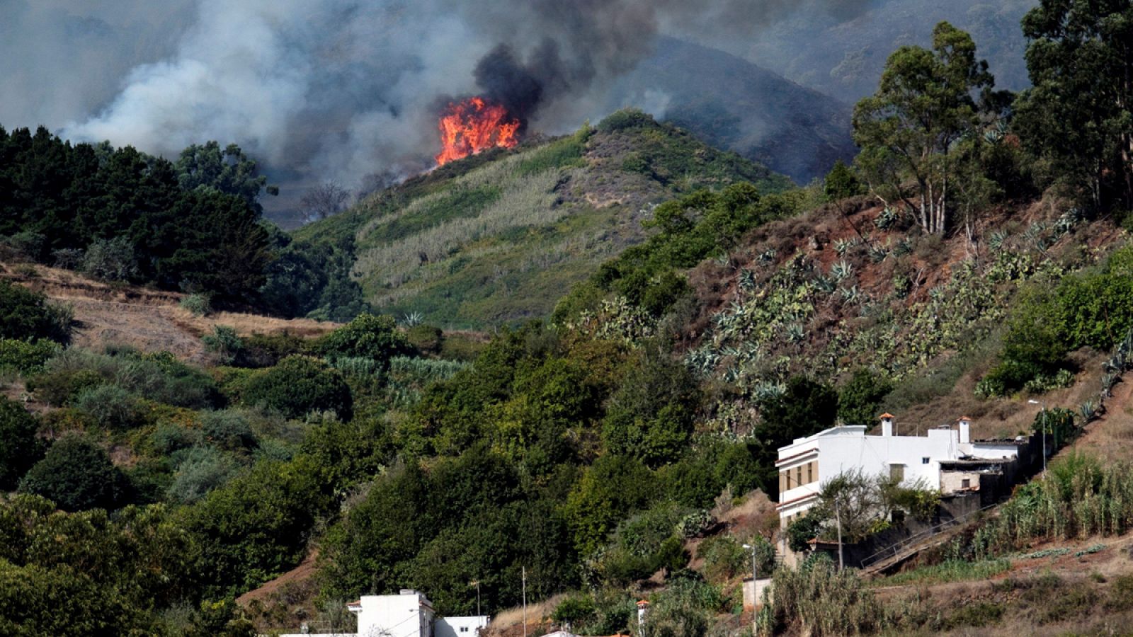 4.000 evacuados por incendio en Canarias