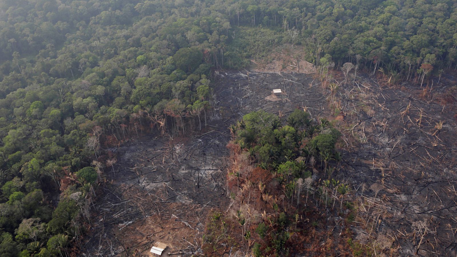 Zona de selva eforestada cerca de Humaita, en el estado de Amazonas. REUTERS/Ueslei Marcelino
