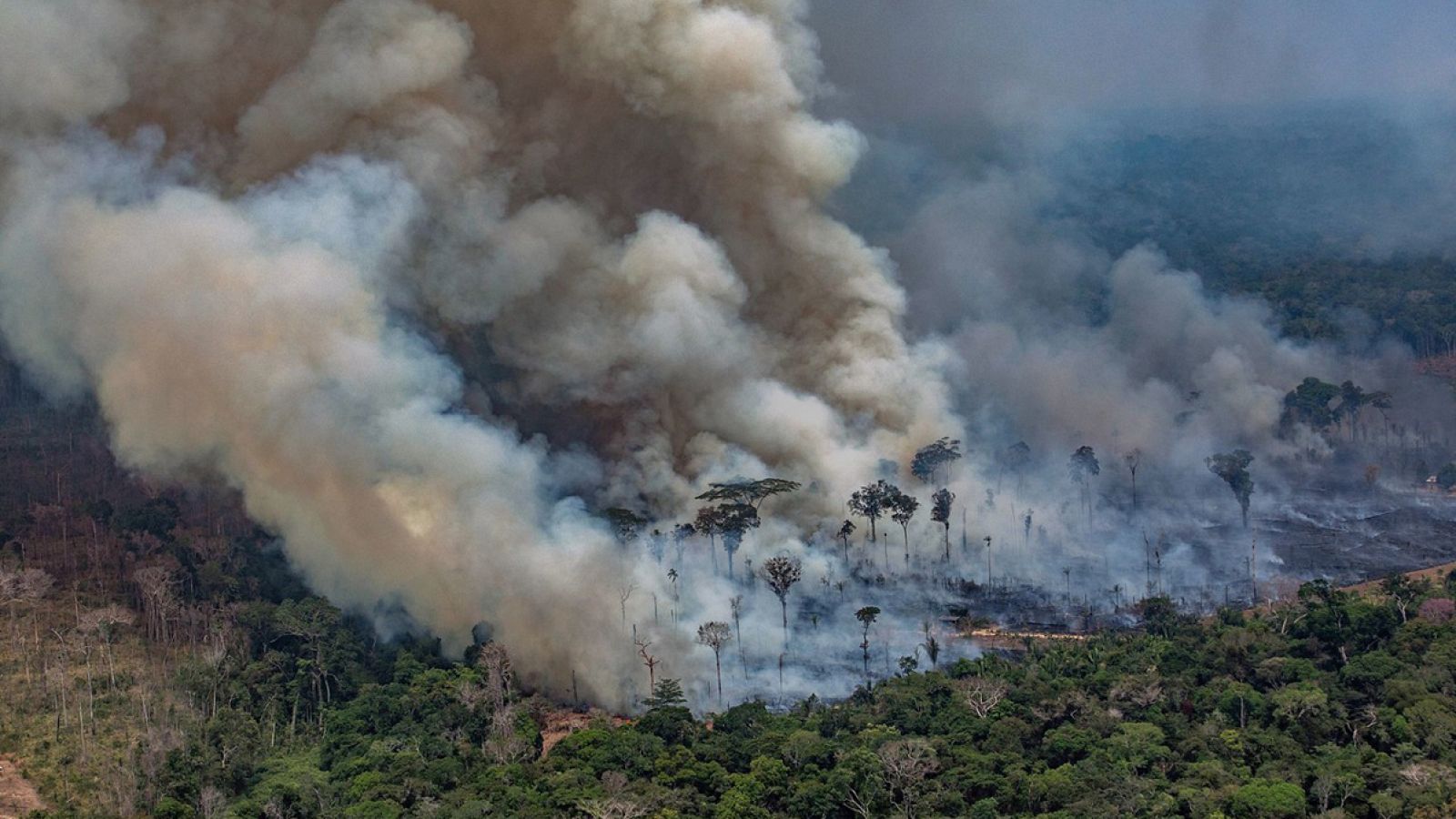 Imagen difundida por Greenpeace de incendios en el estado de Rondonia, en Brasil. Victor MORIYAMA / GREENPEACE / AFP