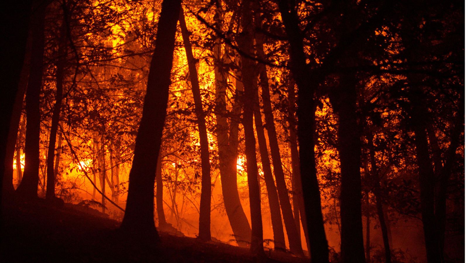 El fuego ha arrasado 74.610 hectáreas, casi cuatro veces más que hace un año