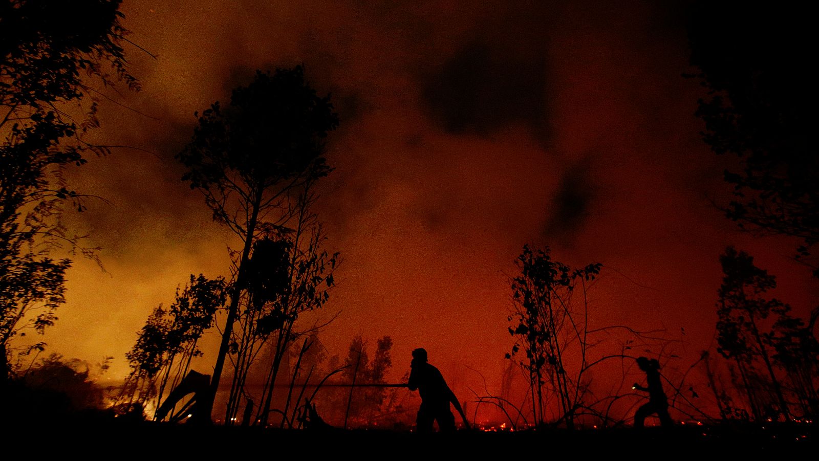 Bomberos luchan contra el fuego en el Parque Nacional Sebangau, en la provincia indonesia de Kalimantan Central.