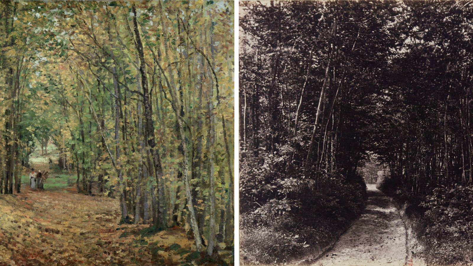 'El bosque de Marly', de Camille Pisarro 1871 y 'Sendero en el bosque', 1850-1860 Fotografía de Eugène Cuvelier.