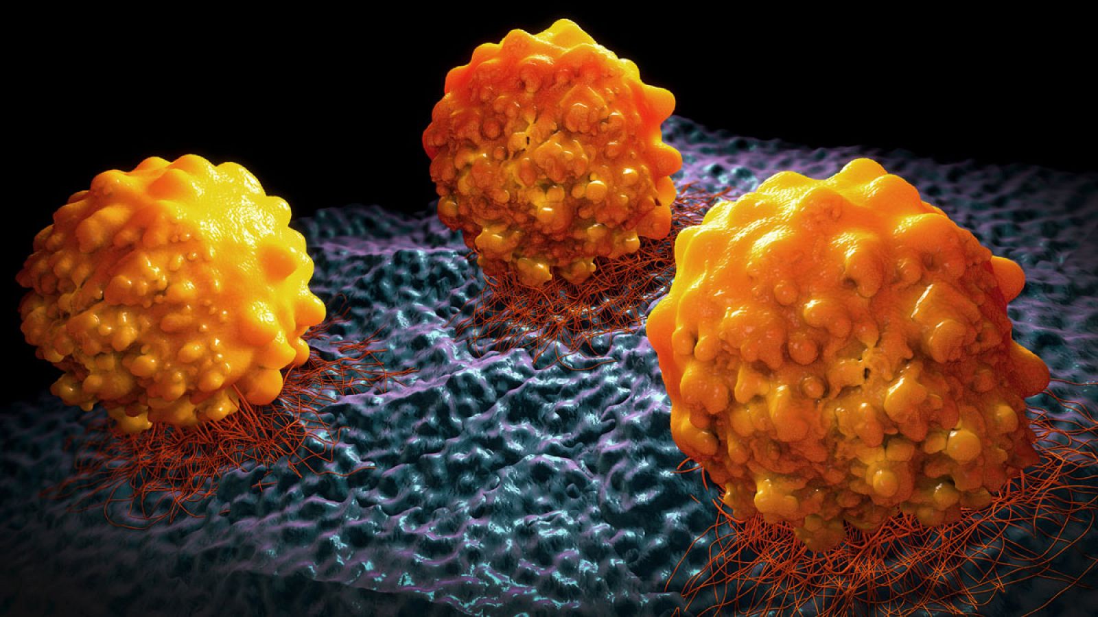 El mayor estudio de la metástasis descubre nuevos tratamientos contra el cáncer