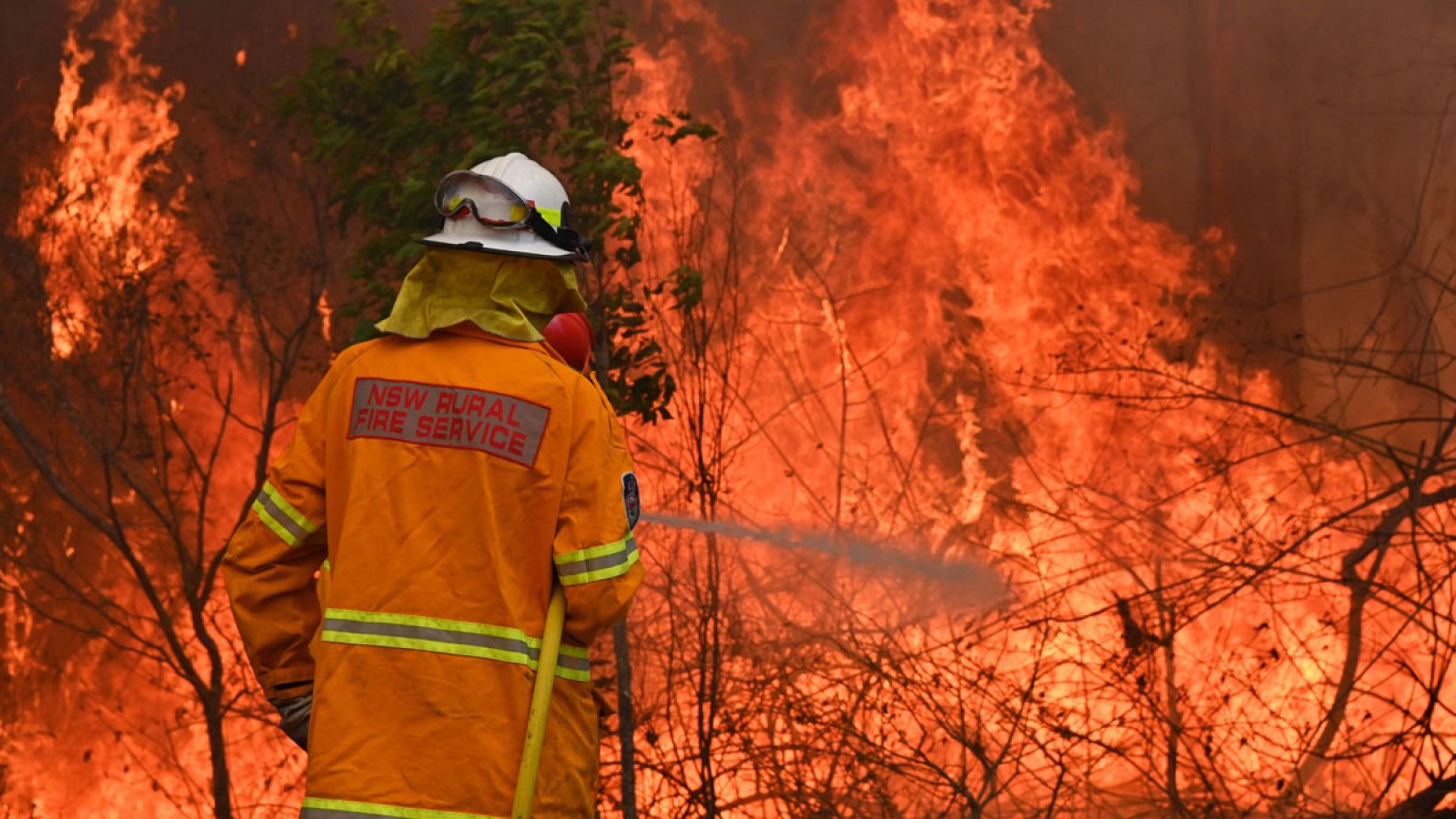 Un bombero tratando de apagar las llamas en Taree, Nueva Gales del Sur (Australia).