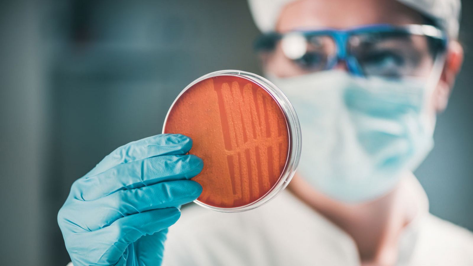 La resistencia de las bacterias a los antibióticos es una de las amenazas más grandes para la salud, según la OMS.