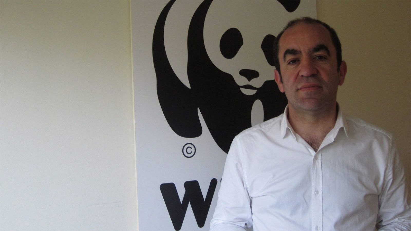 El secretario general de WWF España, Juan Carlos del Olmo.
