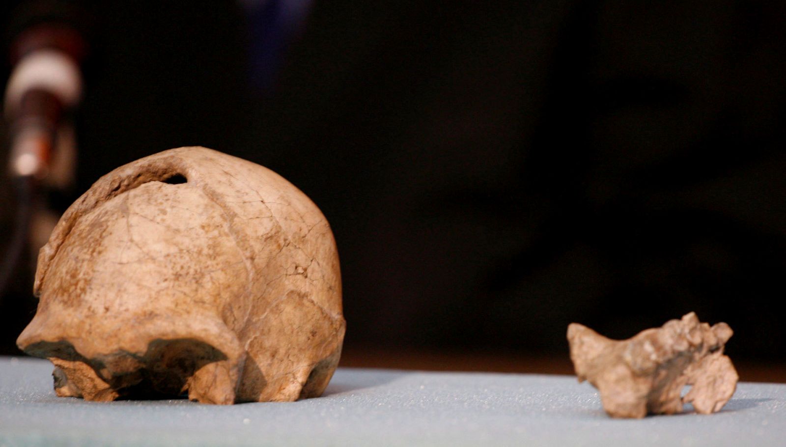 Imagen de un cráneo de un 'Homo erectus'