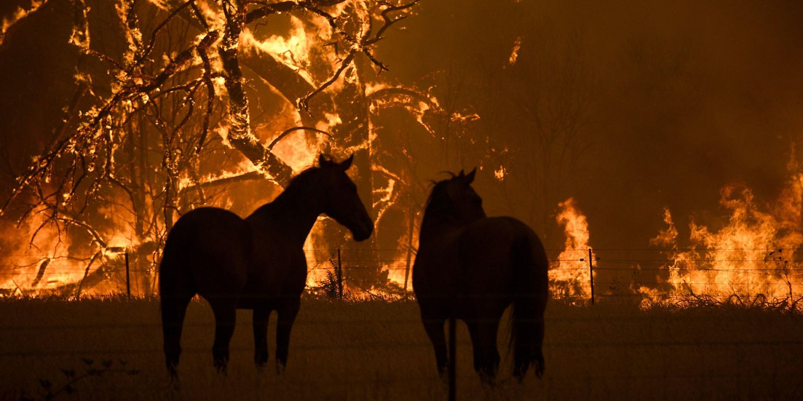 Resultado de imagen de tve incendios australia