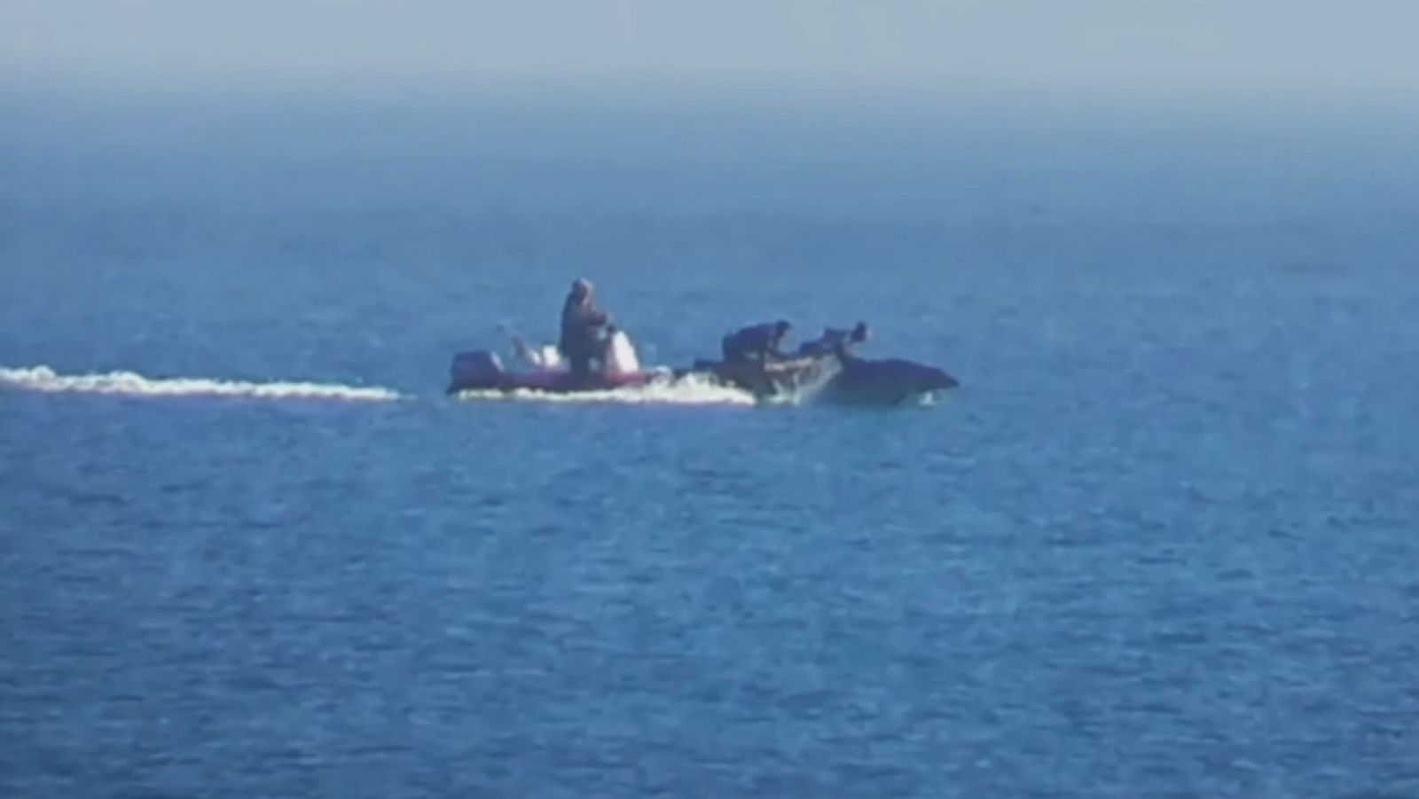 Pantallazo del vídeo en el que se puede ver la persecución a los delfines.