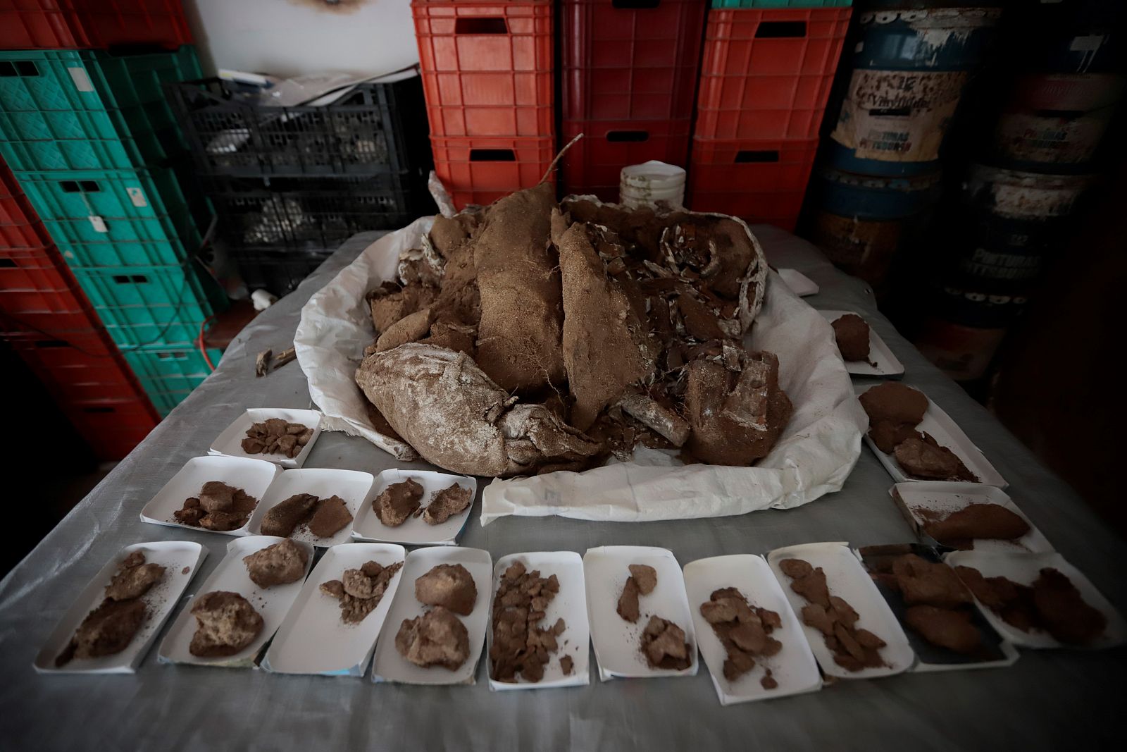 Una mamut de 13.000 años refleja riqueza paleontológica del oeste de México