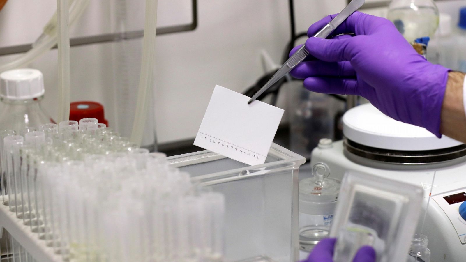 Técnicos de laboratorio trabajan en la búsqueda de una vacuna para el coronavirus