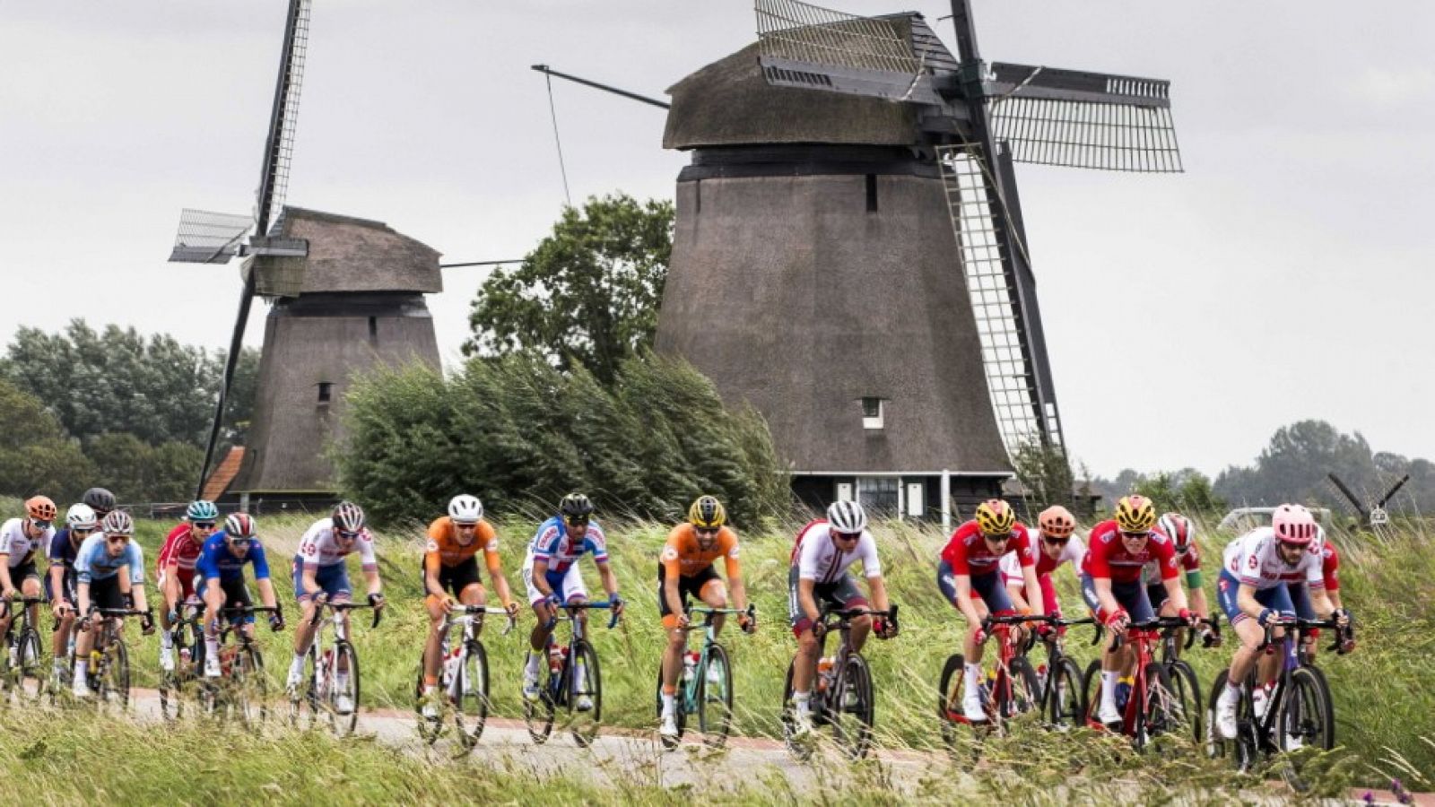 Imagen del Campeonato de Europa de ciclismo en Alkmaar (Países Bajos) en 2019.