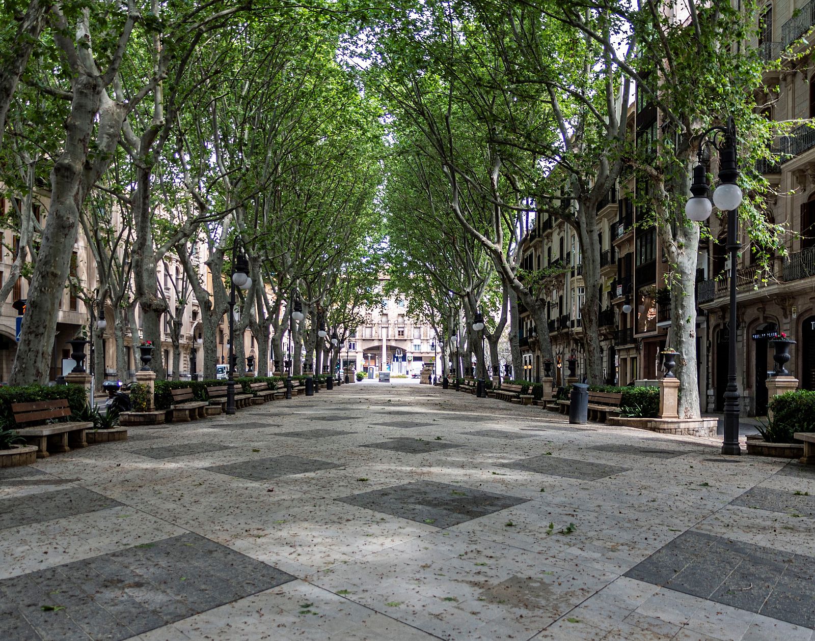 El céntrico Paseo del Borne vacío durante el confinamiento, en Palma de Mallorca