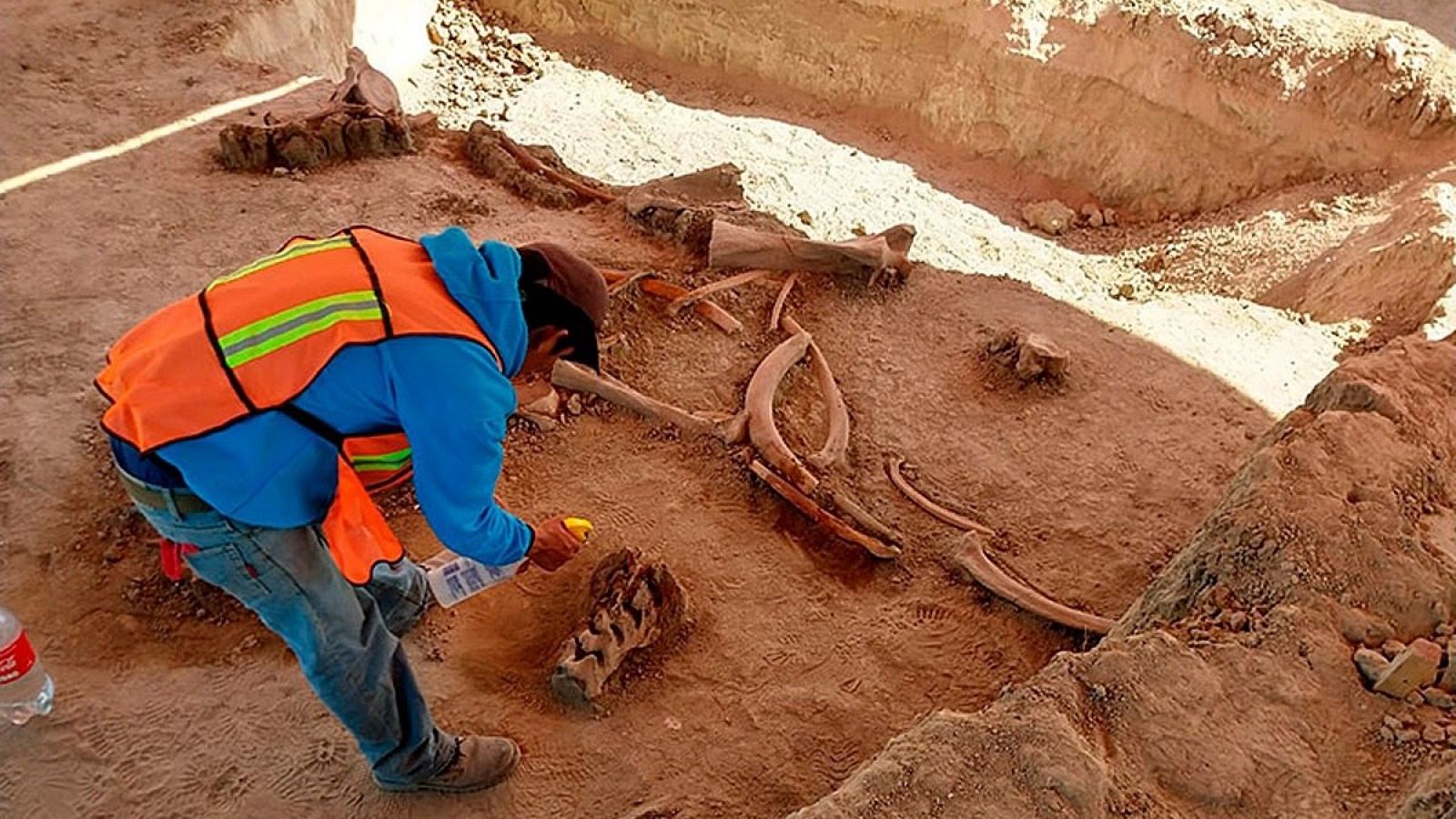 Imagen del hallazgo de los restos de al menos 60 mamuts en las obras del futuro Aeropuerto Internacional General Felipe Ángeles, Ciudad de México