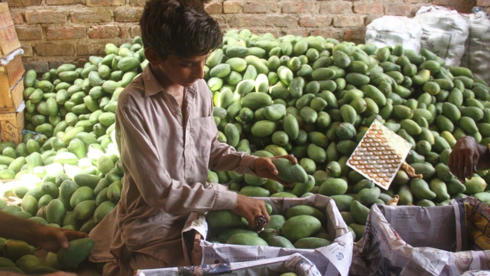 Un niño colocando unas frutas en un puesto de un mercado de in Hyderabad, Pakistán. 