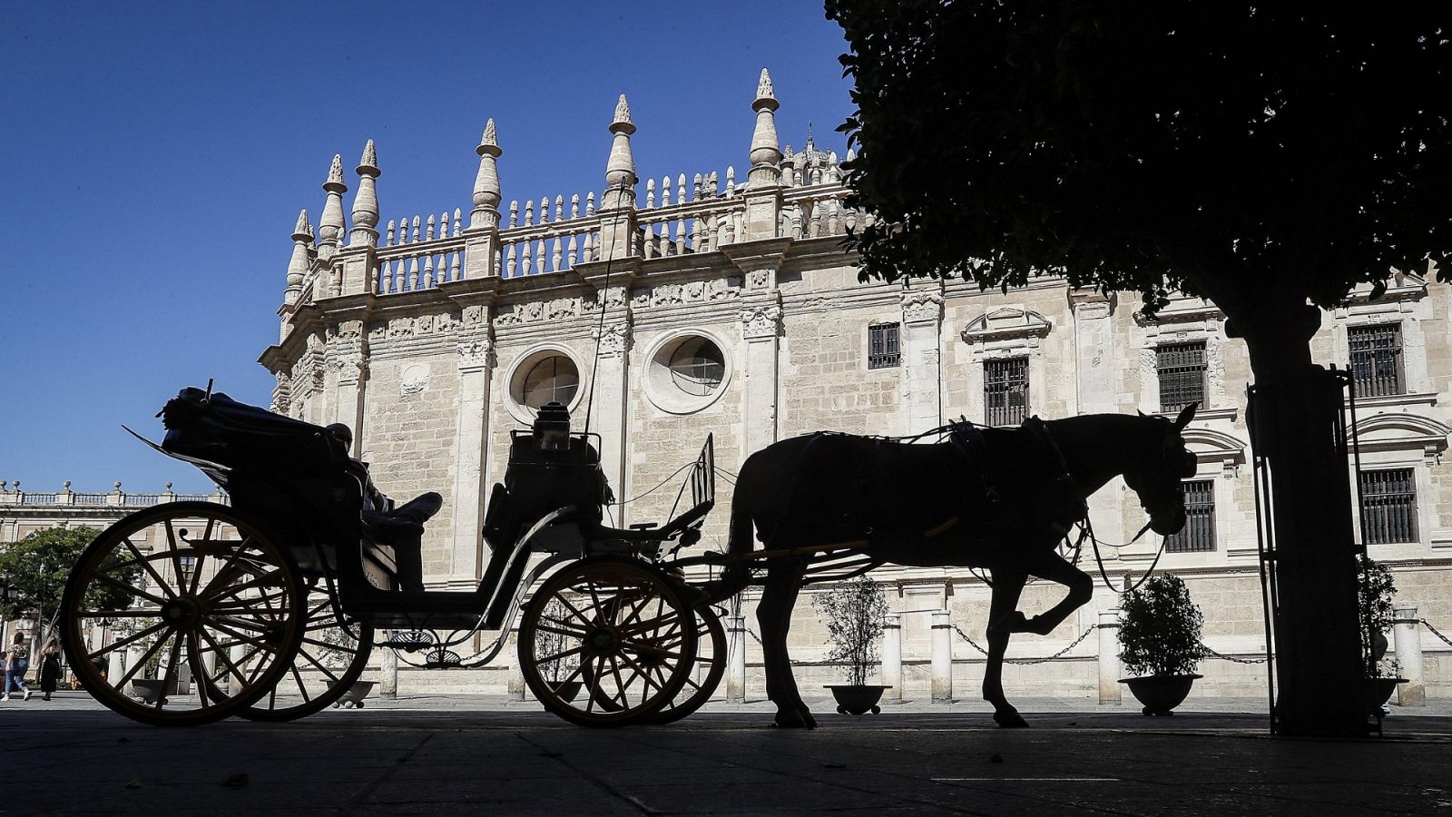 Un coche de caballos espera turistas en la sombra en el centro de Sevilla