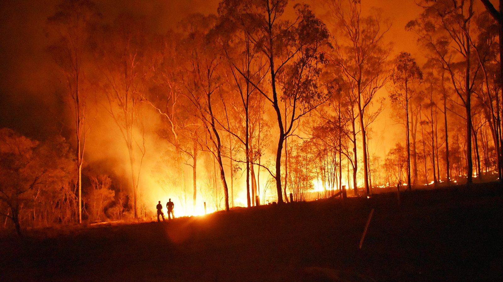 En los grandes incendios forestales (GIF), arde el 40% o más de la superficie total afectada.