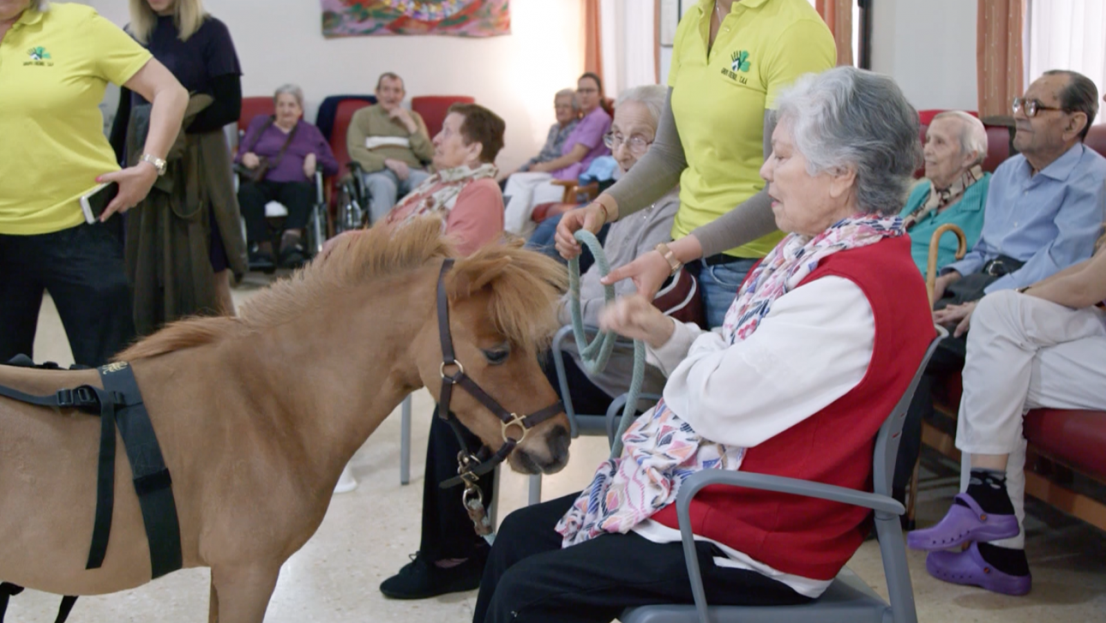 El programa 'La meva mascota i jo' visita un geriàtric on es realitza teràpia amb cavalls i gossos