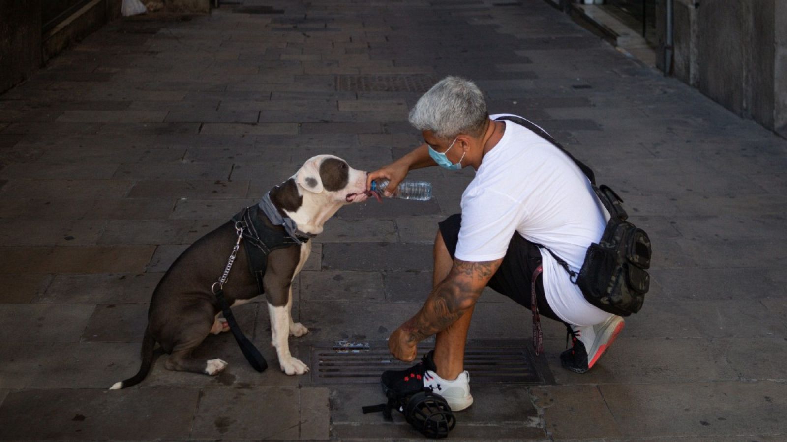 Un hombre da de beber a su perro en el centro de Barcelona