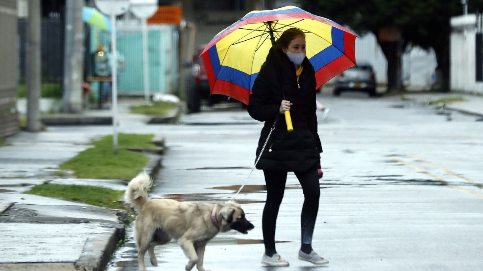 Una mujer con mascarilla y con un paraguas con los colores de la bandera de Colombia caminando junto a su perro por una calle de Bogotá.