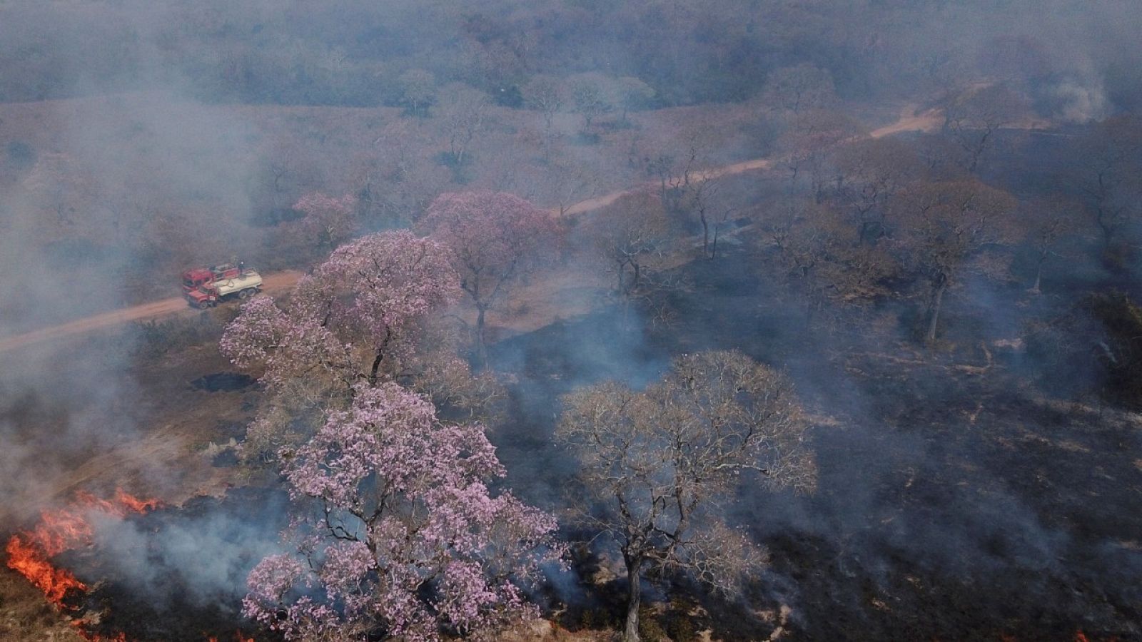 Imagen aérea de una zona del Pantanal (Brasil) afectada por las llamas. 