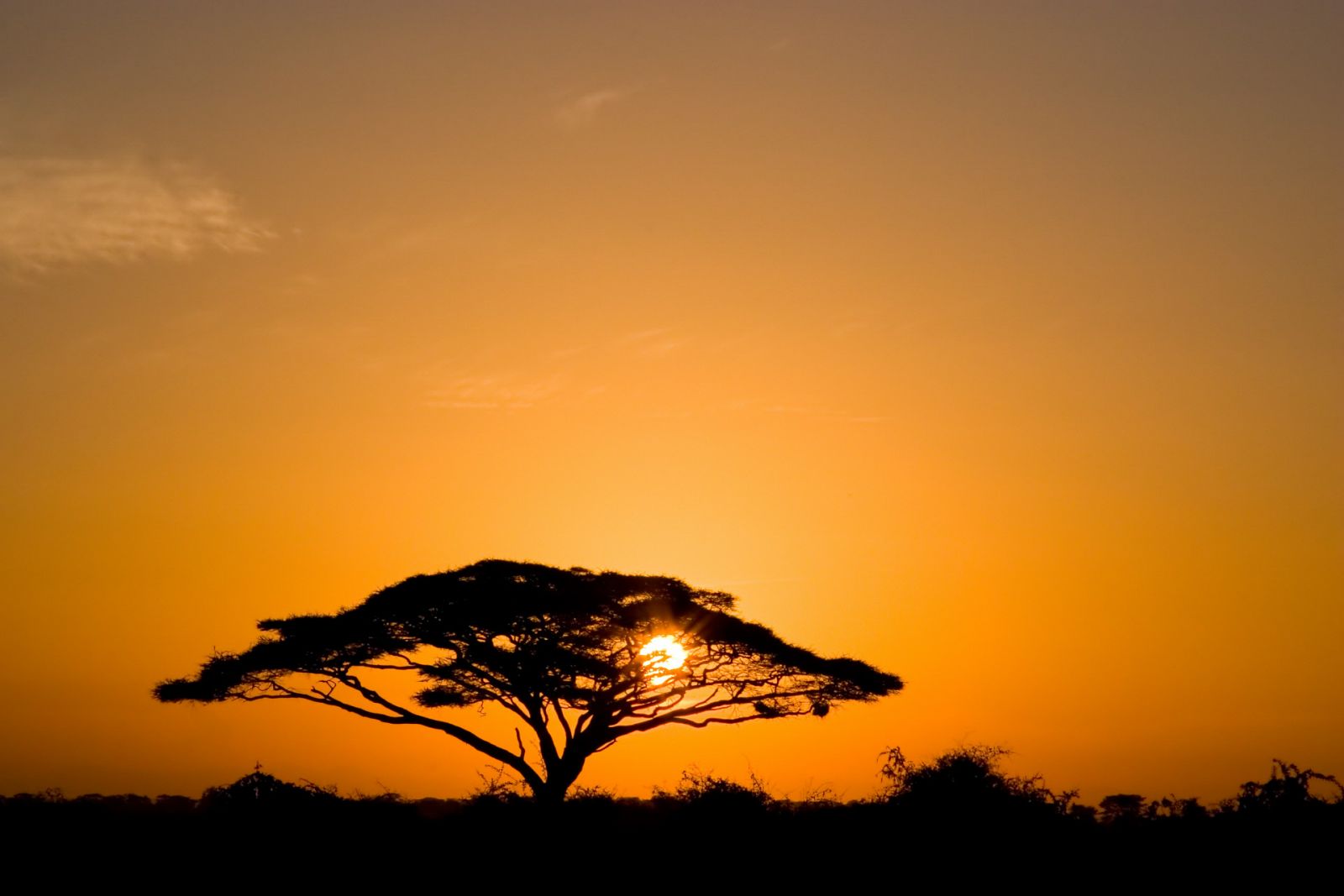 Amanecer en el Parque Nacional de Tanzania, África