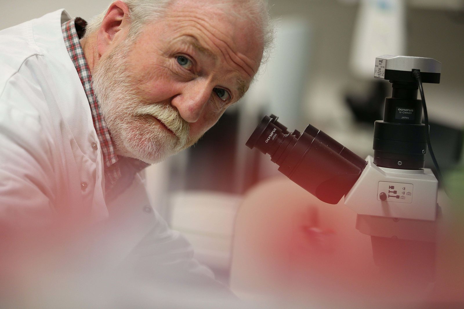 `Documentos TV¿ cuenta la historia del biólogo George McGavin  que durante el año en el que convivió con un melanoma mortal.