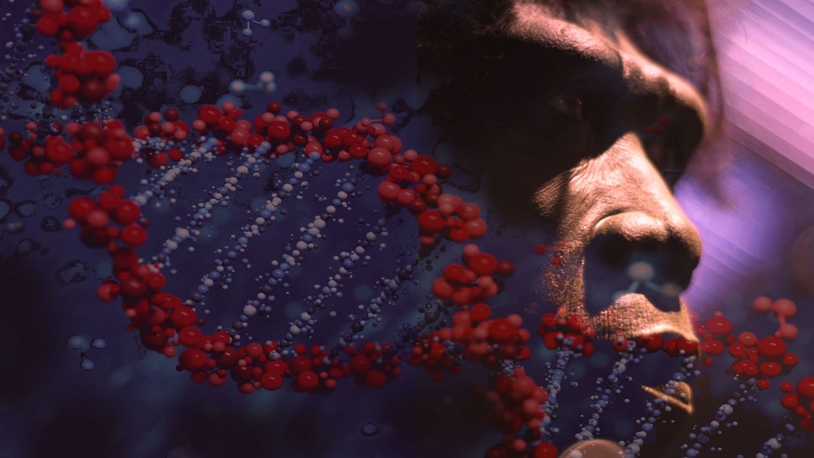 Hélice de ADN recreado sobre la imagen de una escultura de un neandertal