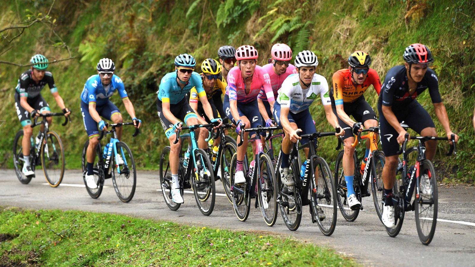 Corredores de la Vuelta durante la etapa 12