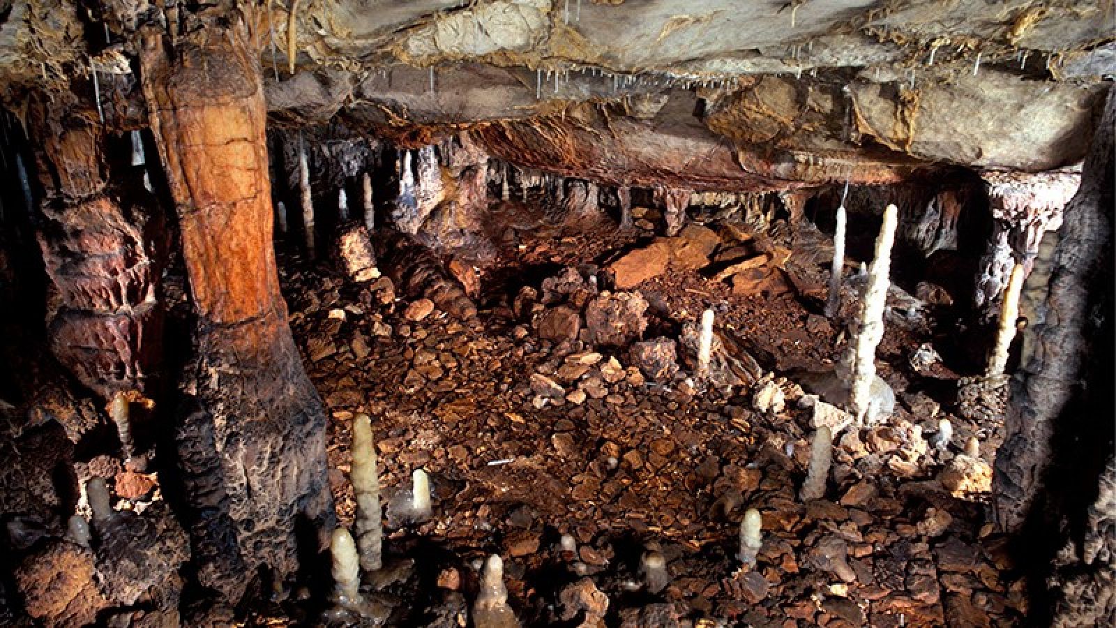 Cueva de La Garma en Omoño, Cantabria. Contiene una de las mejores secuencias arqueológicas de Europa, y la única tumba mesolítica de toda CantabriaMuestra la actividad de un grupo de cazadores y recolectores de la última glaciación