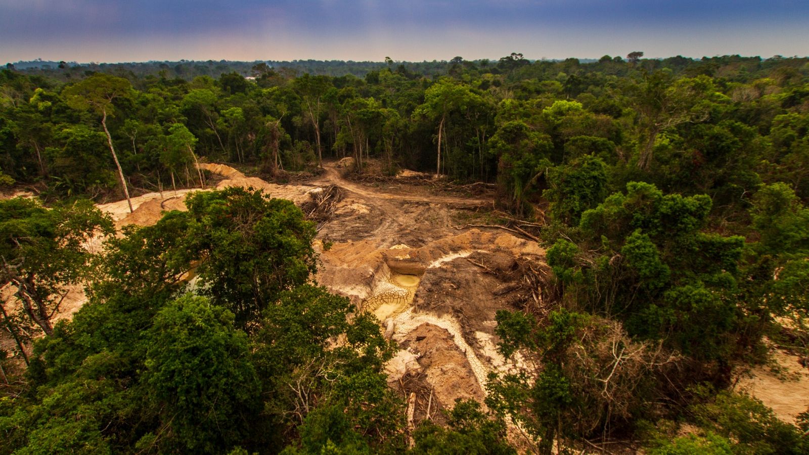 El estado de Pará, corazón de la Amazoniía, acumula el 46,8 % de la desforestación