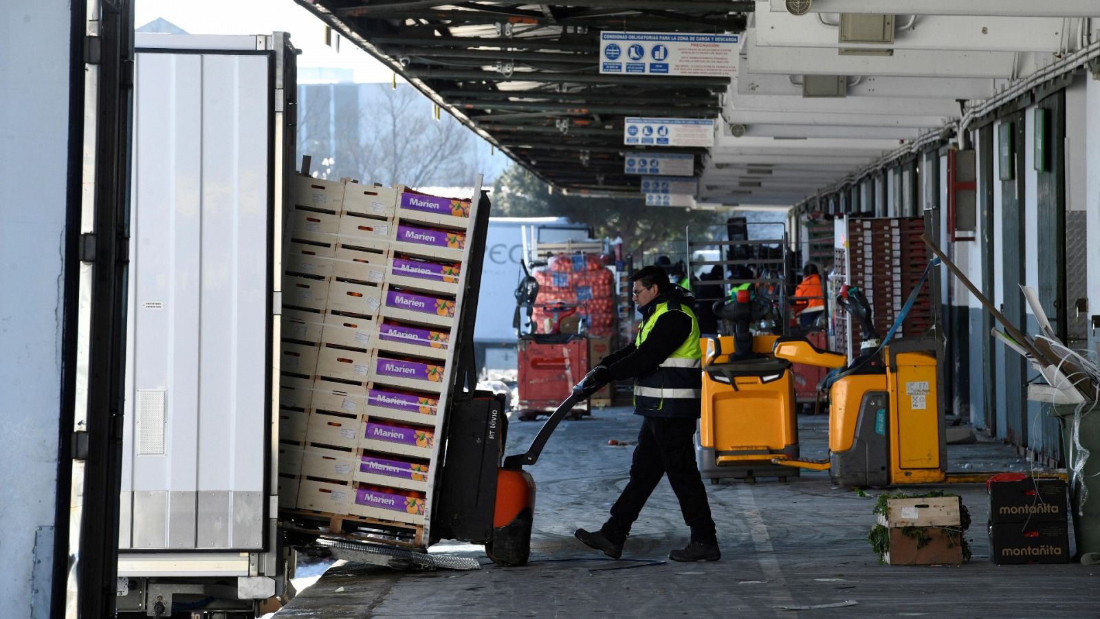 Un operario descarga cajas de fruta de un camión con un carro.