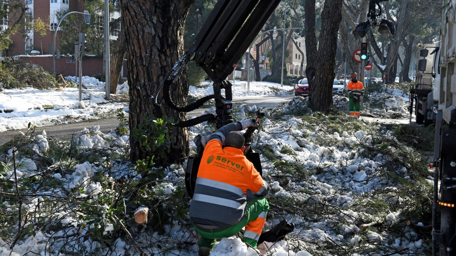 Varios operarios podan una de las ramas vencidas por la nieve caída por el paso de la tormenta Filomena, en la calle Arturo Soria de Madrid