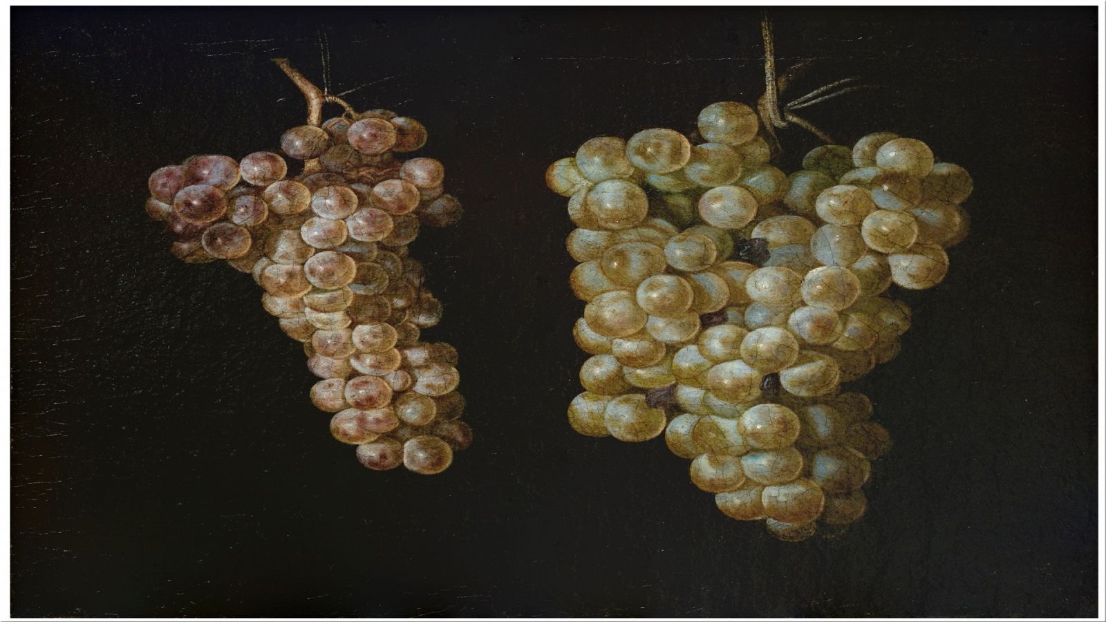 Dos racimos de uvas