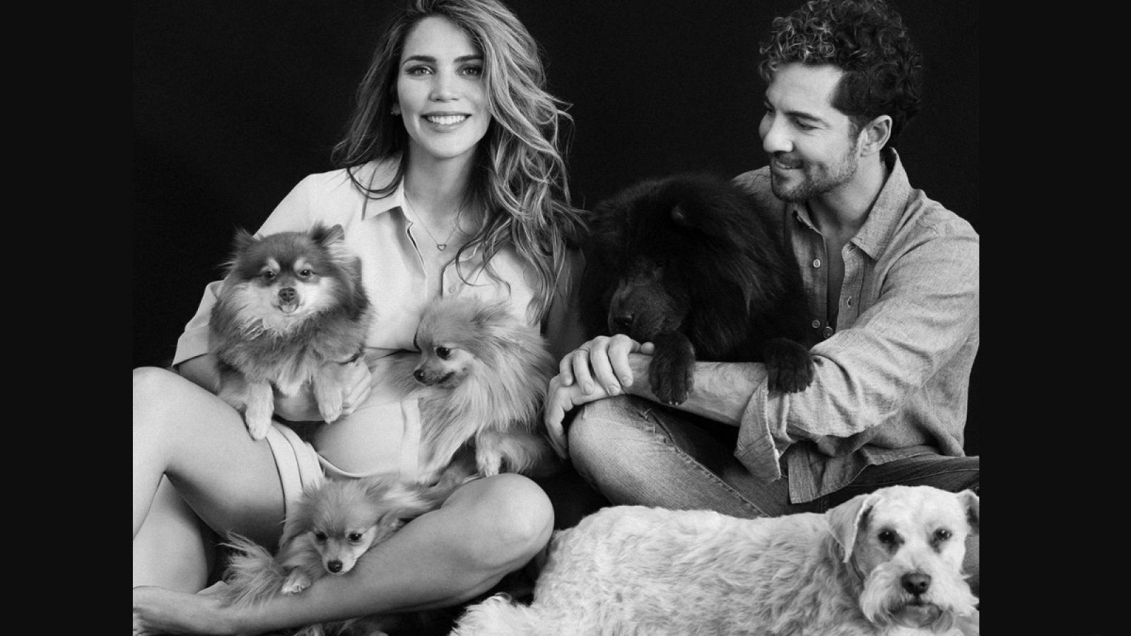 David Bisbal y su mujer, Rosanna Zanetti, posan con sus cinco perros