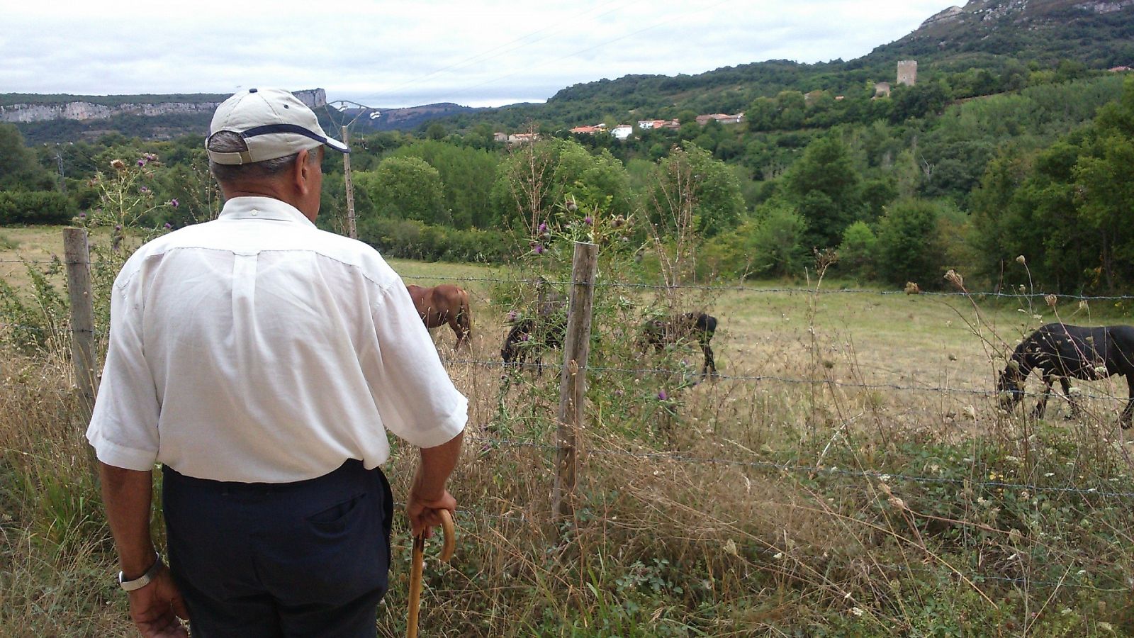 Un hombre observa la yeguada en el municipio de Dosante de Valdeporres, en Burgos