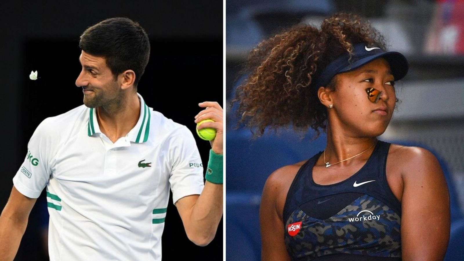 Djokovic y Osaka, "bendecidos" por una mariposa en uno de los momentos más curiosos del torneo 
