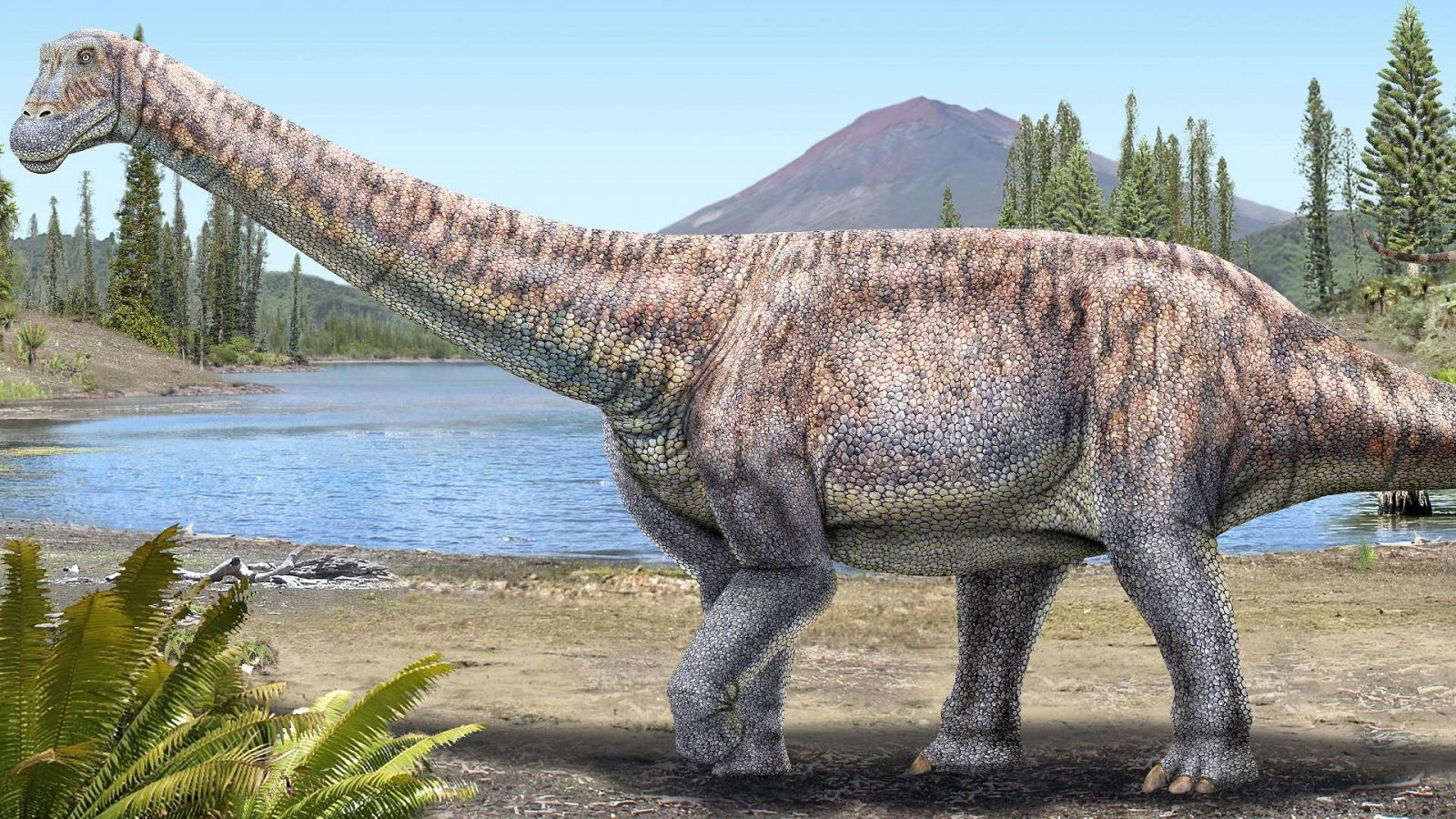 El Arackar licanantay, nueva especie de titanosaurio encontrada en Chile.