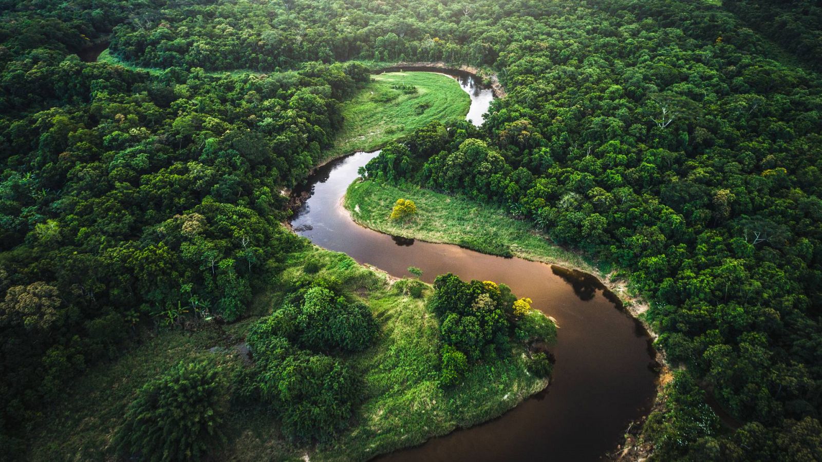 Imagen aérea del Amazonas