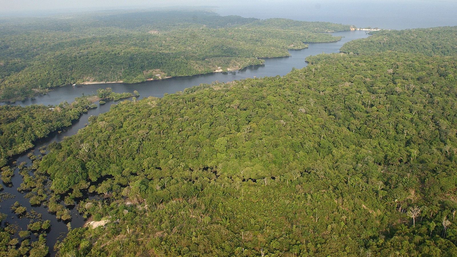 El Amazonas, un 'pulmón' del planeta que se está degradando