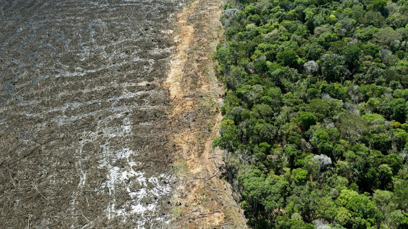 Imagen aérea de un área deforestada cerca de Sinop, estado de Mato Grosso, Brasil