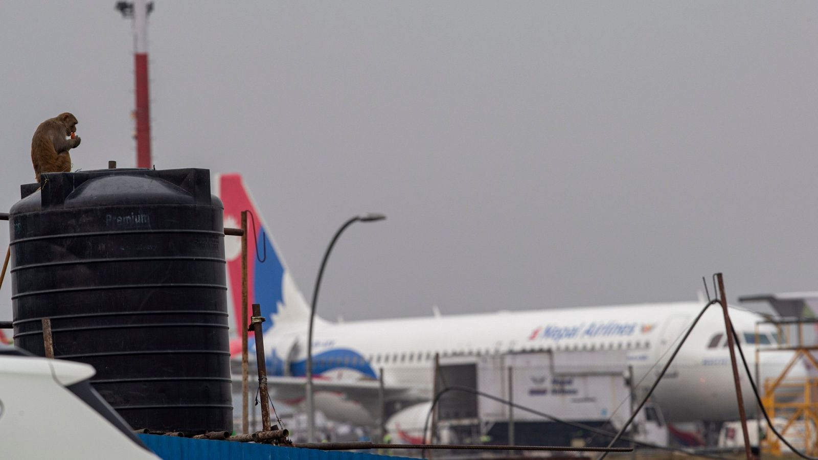 Imagen del aeropuerto de Nepal con un avión de fondo